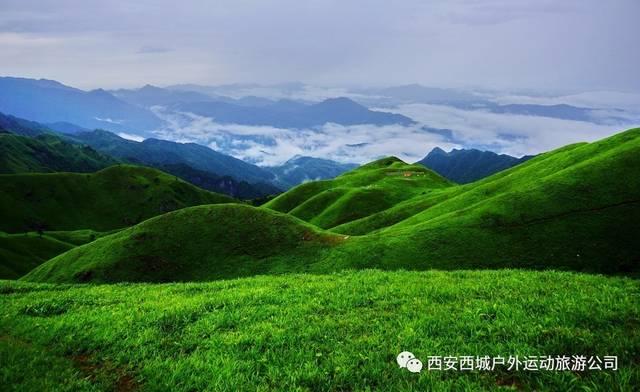 晶科能源N型产品放量净利年增超43亿 全球组件出货量75GW时隔三年重回第一